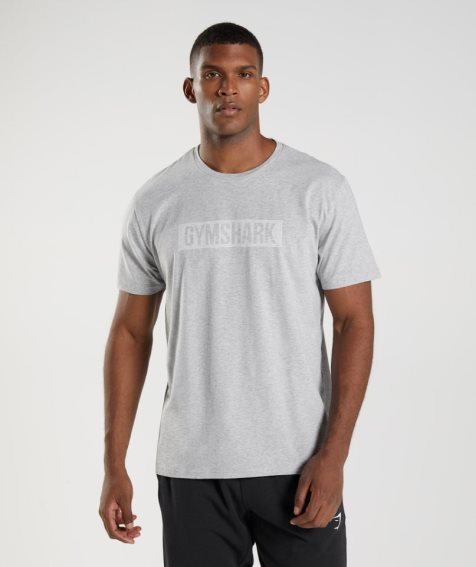 Men's Gymshark Block T-Shirts Light Grey | CA 37N5A0